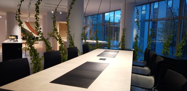 showroom-idalia 6